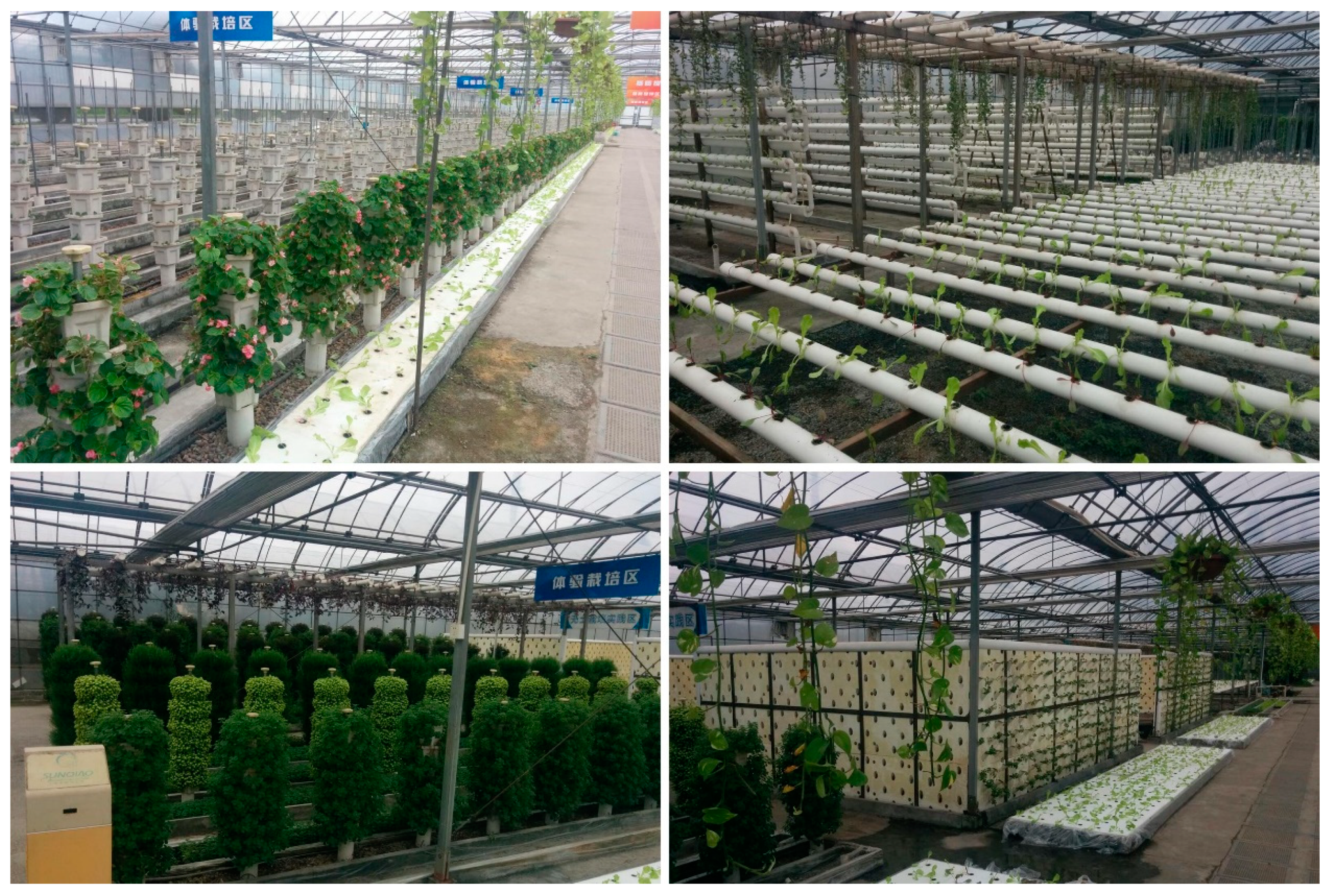 Sustainability 11 06070 g005 Sustainability 11 06070 g005