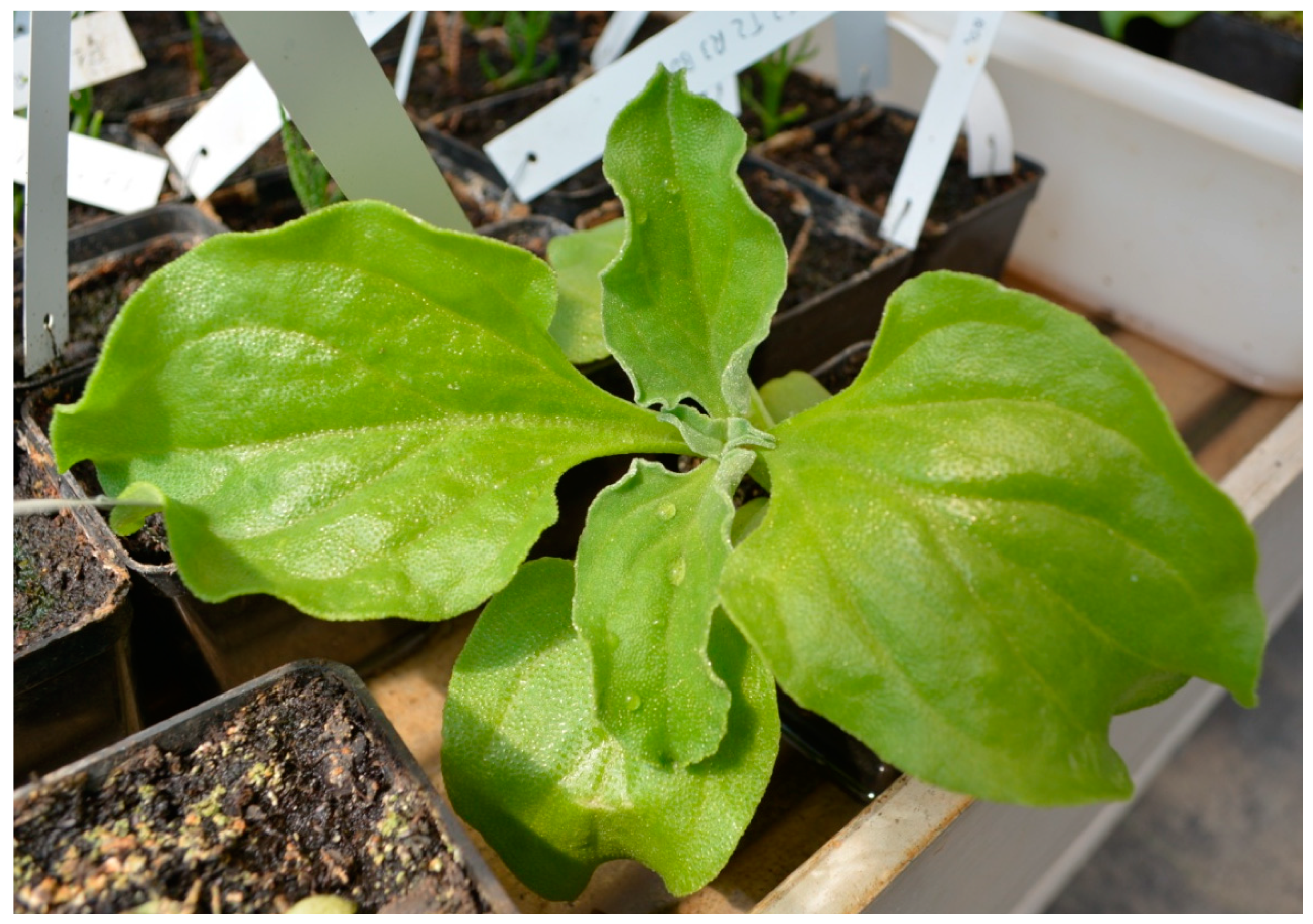 Sustainability 11 06076 g001