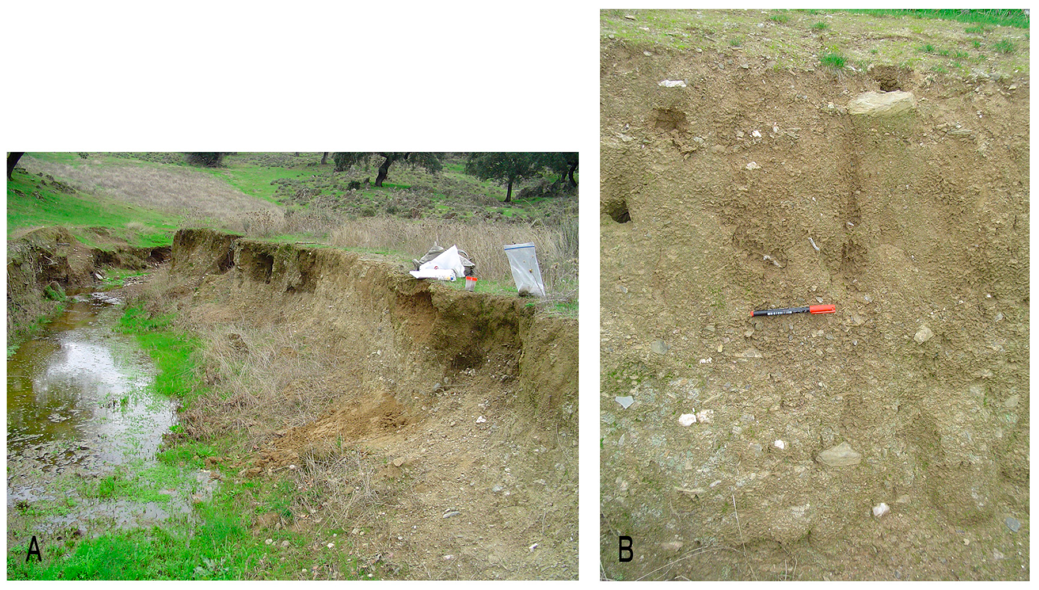 Sustainability 11 06102 g003