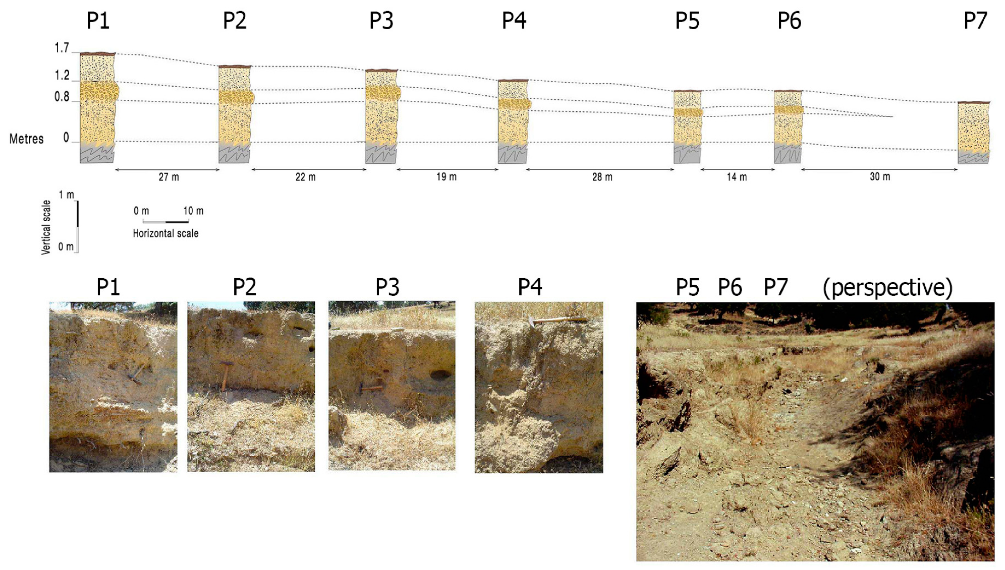 Sustainability 11 06102 g005
