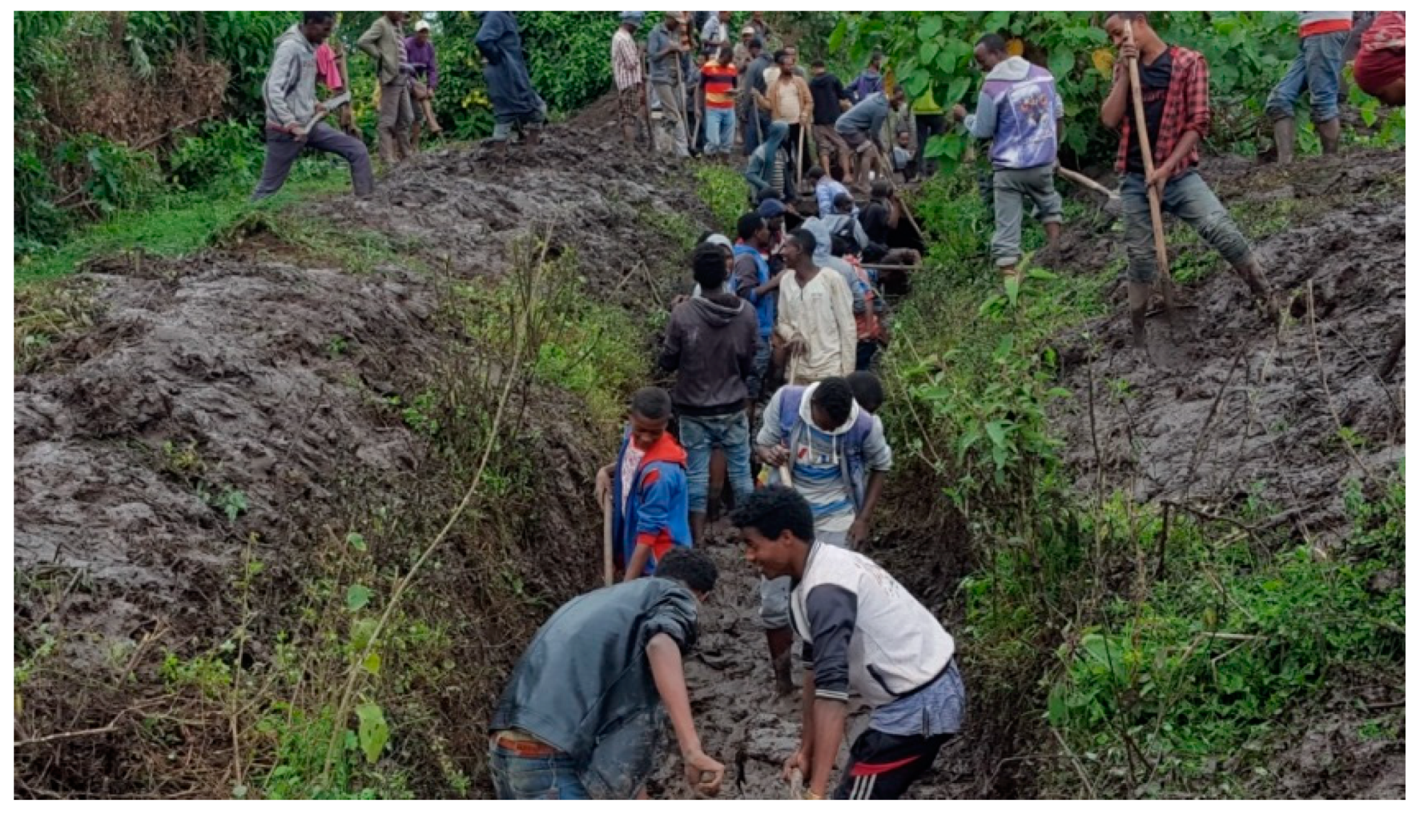 Sustainability 11 06121 g002