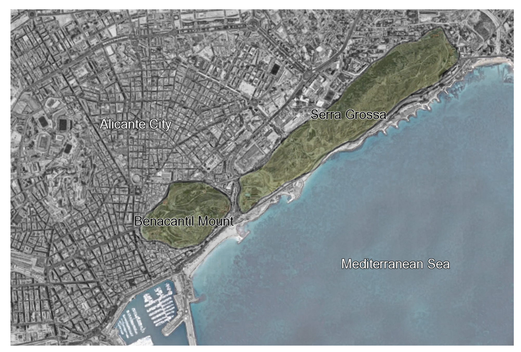 Sustainability 11 06205 g001 Sustainability 11 06205 g001