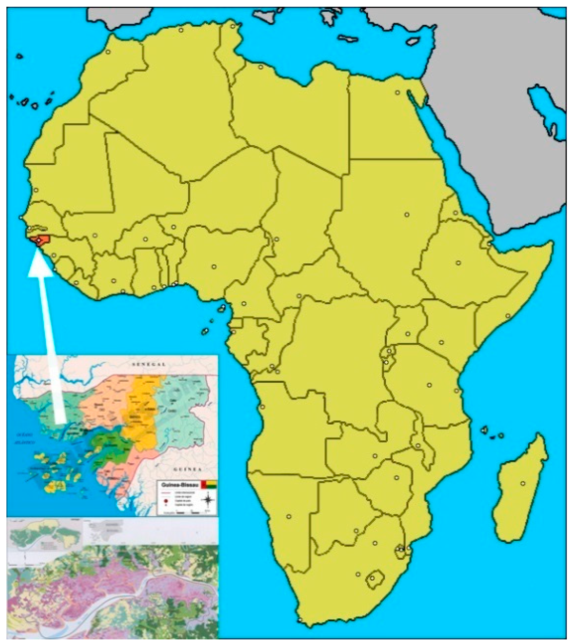 Sustainability 11 06247 g001