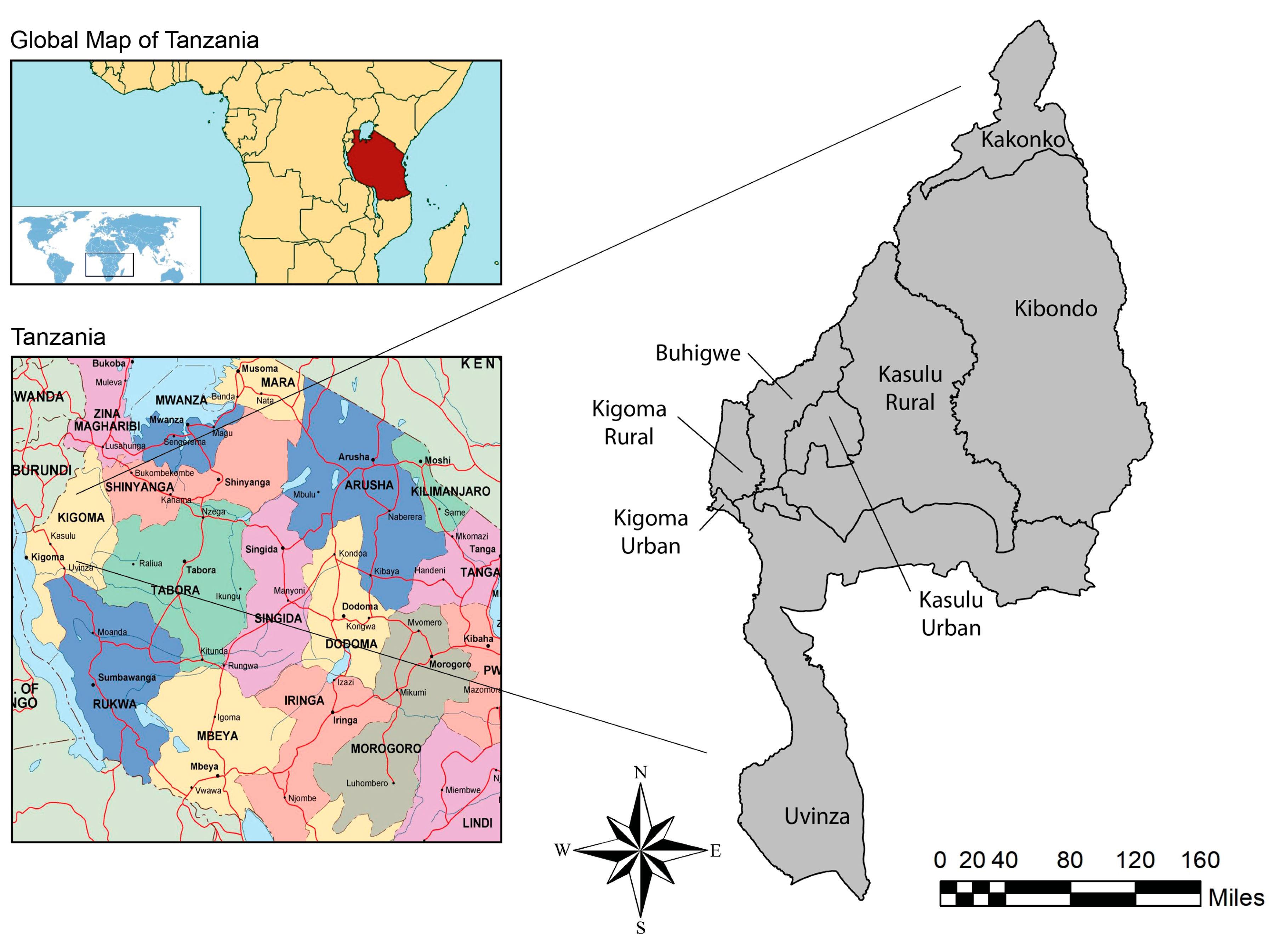 Sustainability 11 06315 g001 Sustainability 11 06315 g001