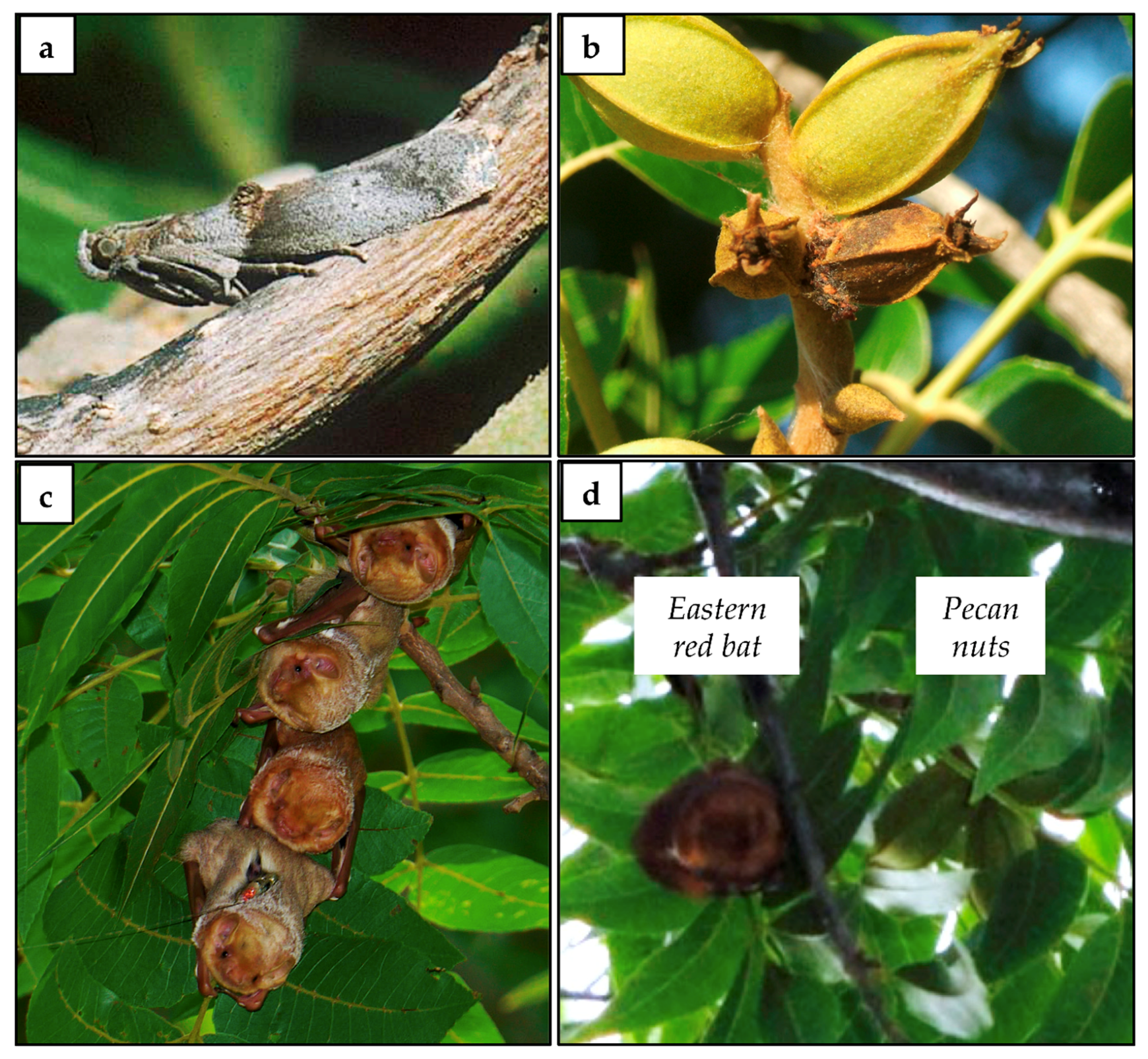 Sustainability 11 06365 g002 Sustainability 11 06365 g002