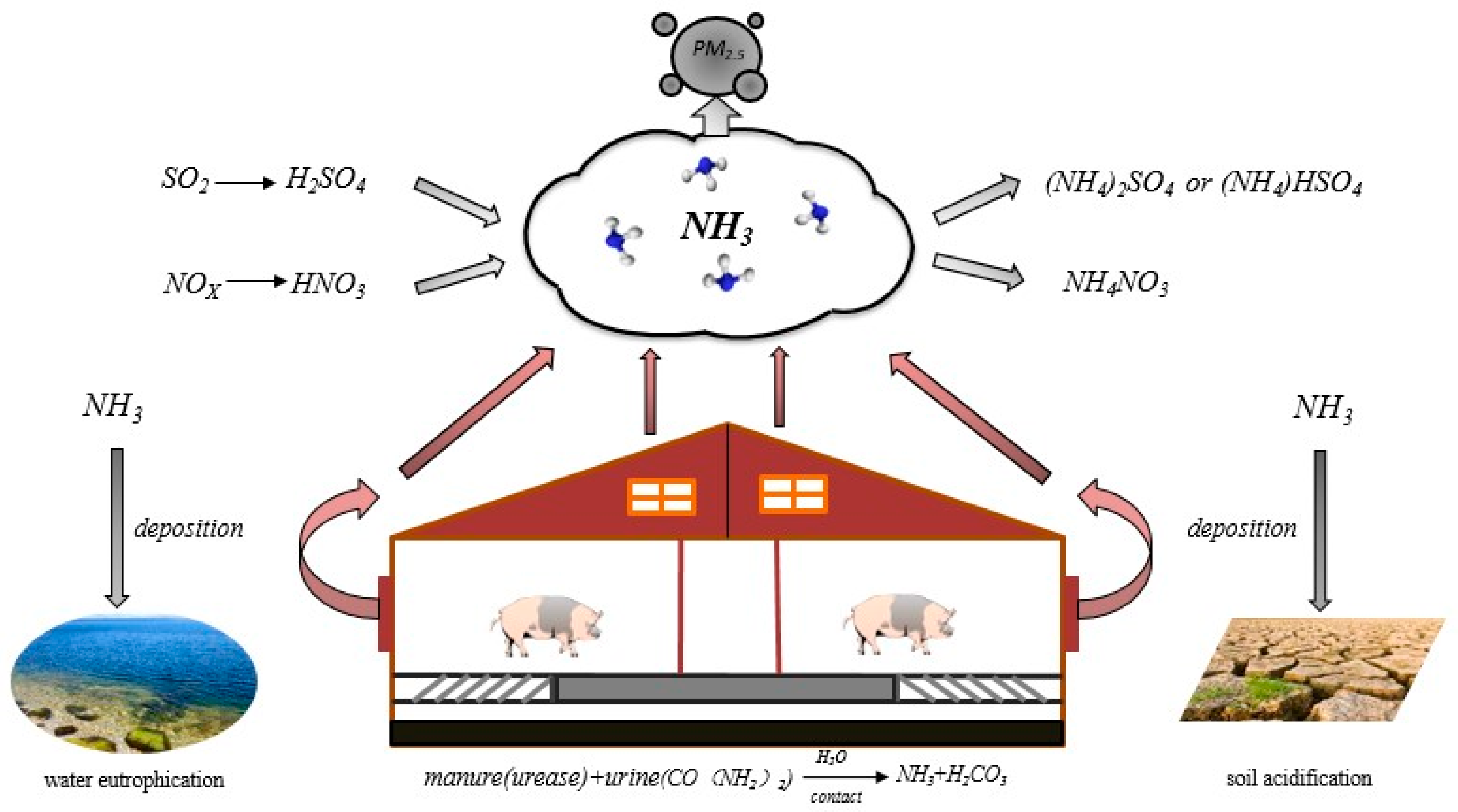 Sustainability 11 06396 g001