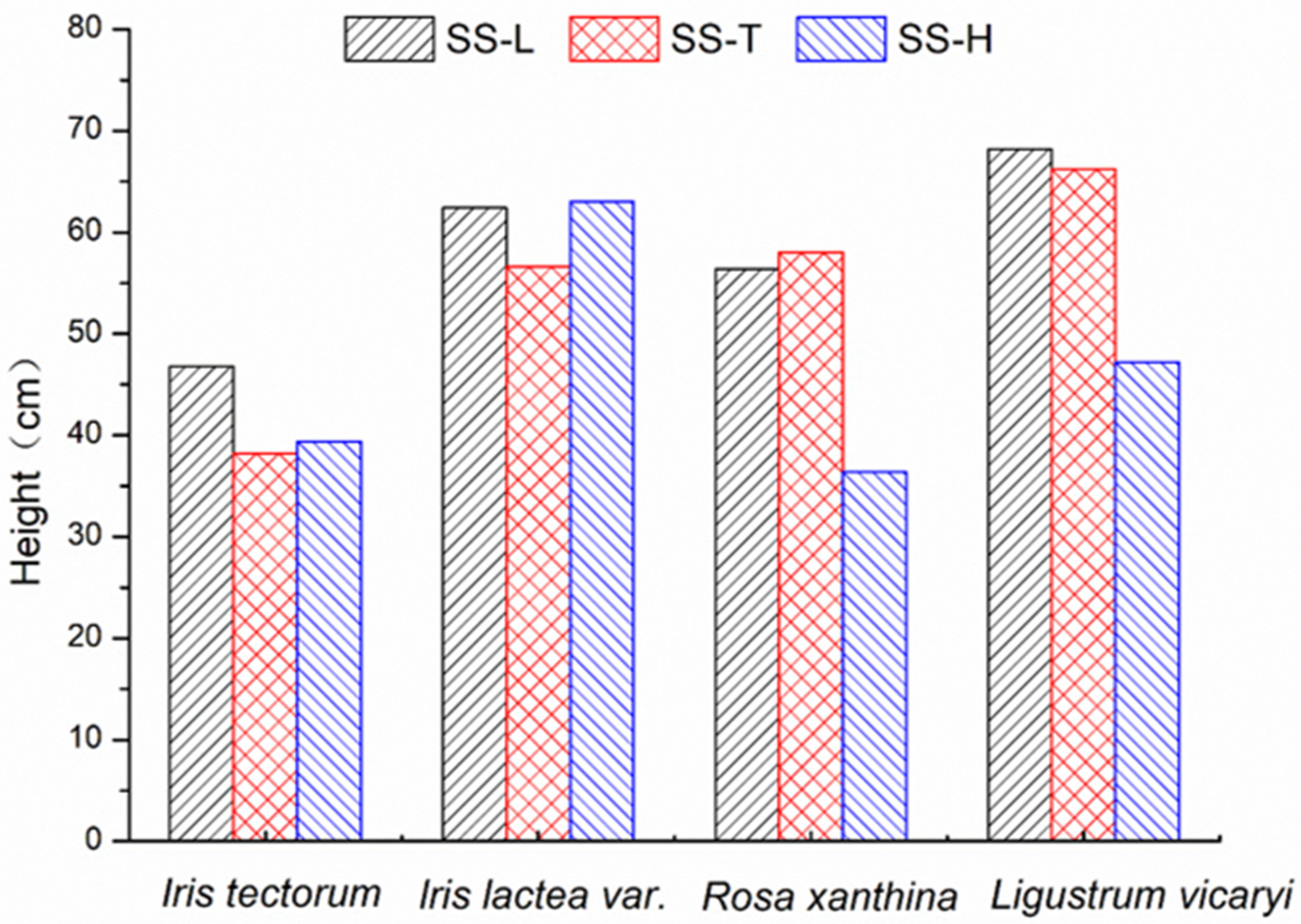 Sustainability 11 06402 g003 Sustainability 11 06402 g003