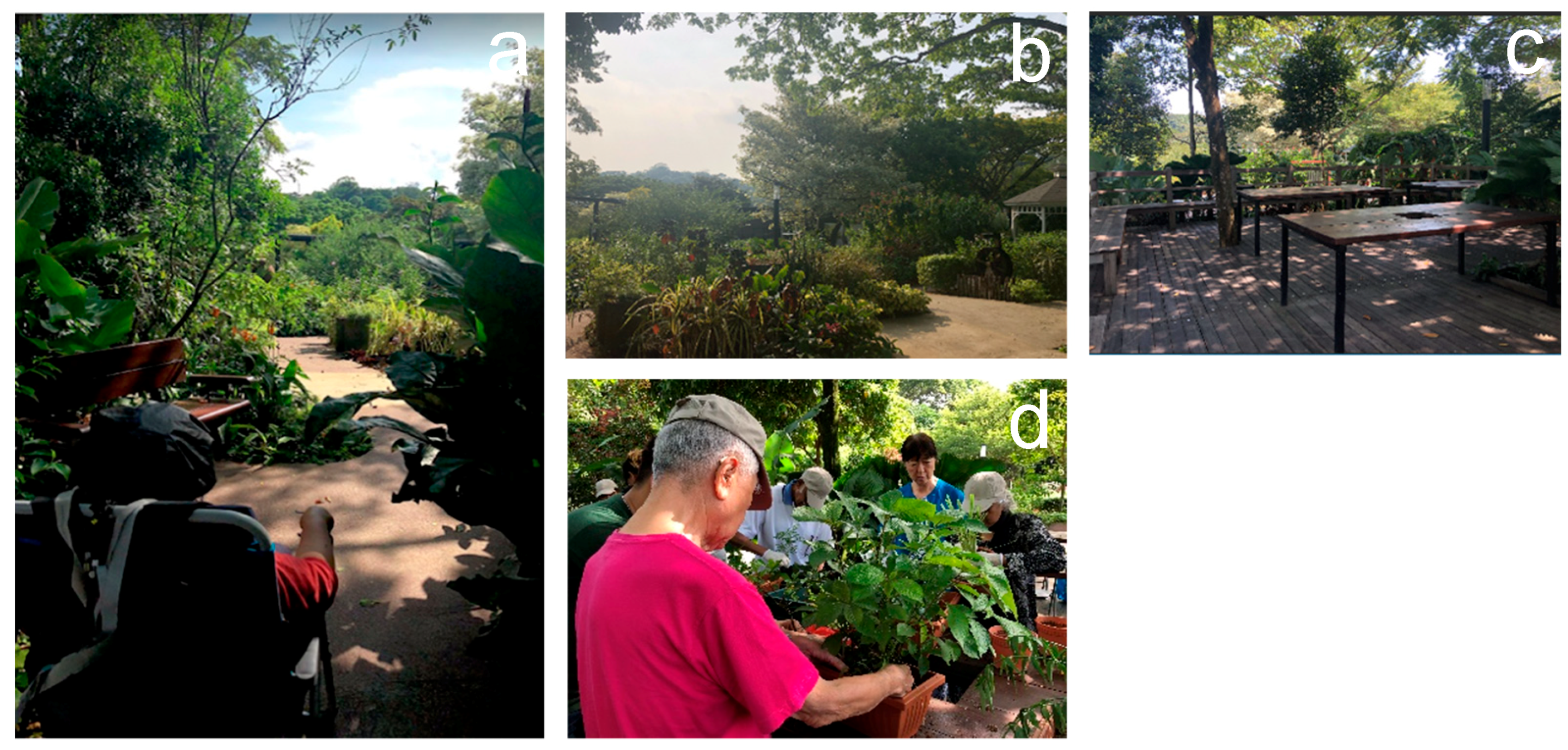 Sustainability 11 06425 g004