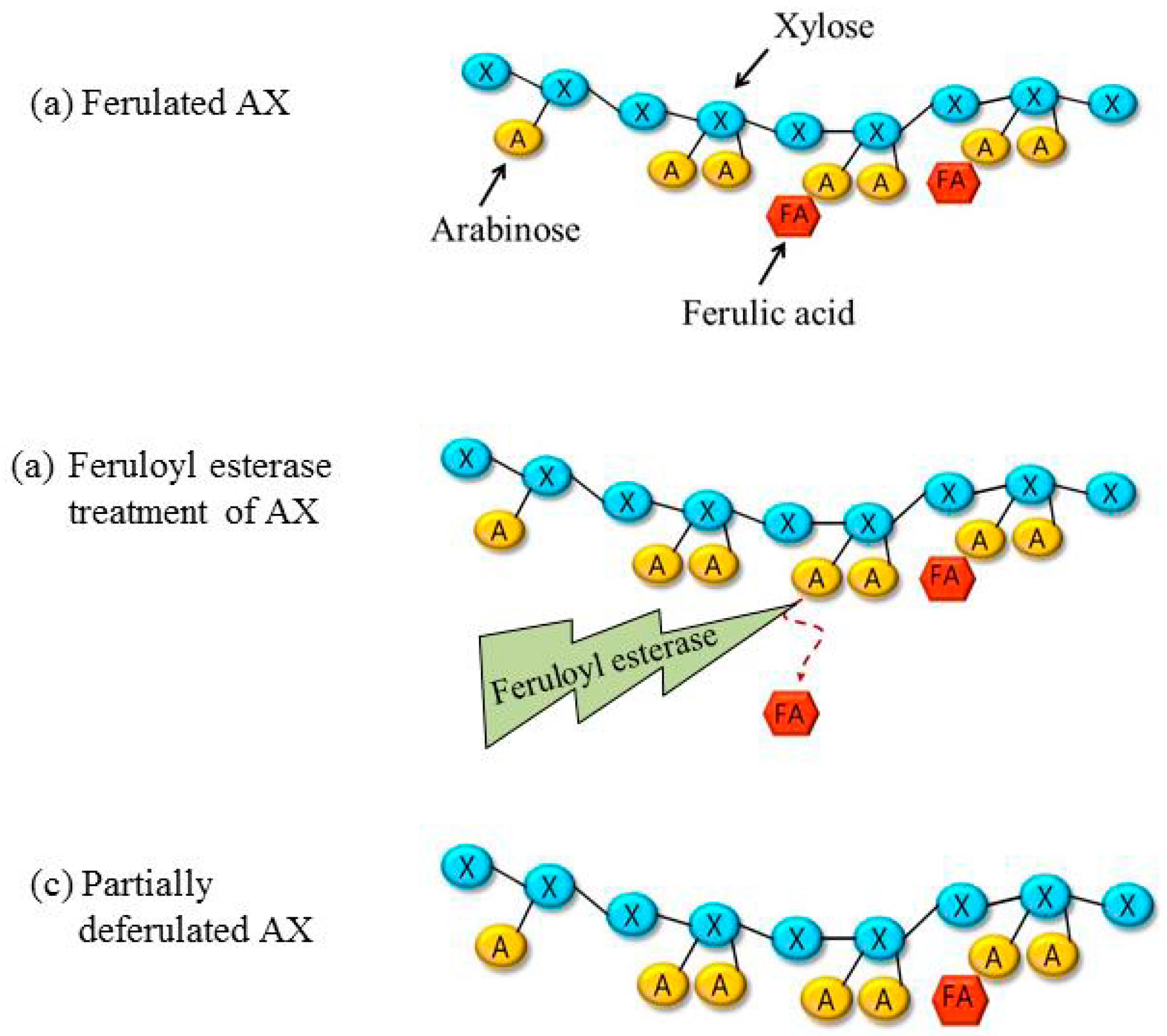 Sustainability 11 06449 g002 Sustainability 11 06449 g002