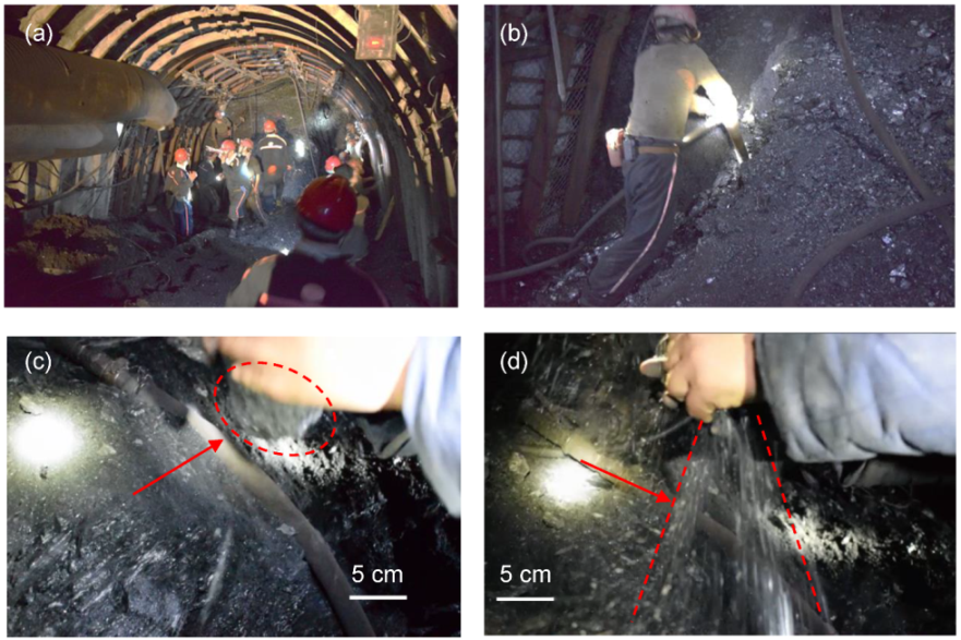 Sustainability 11 06494 g001 Sustainability 11 06494 g001