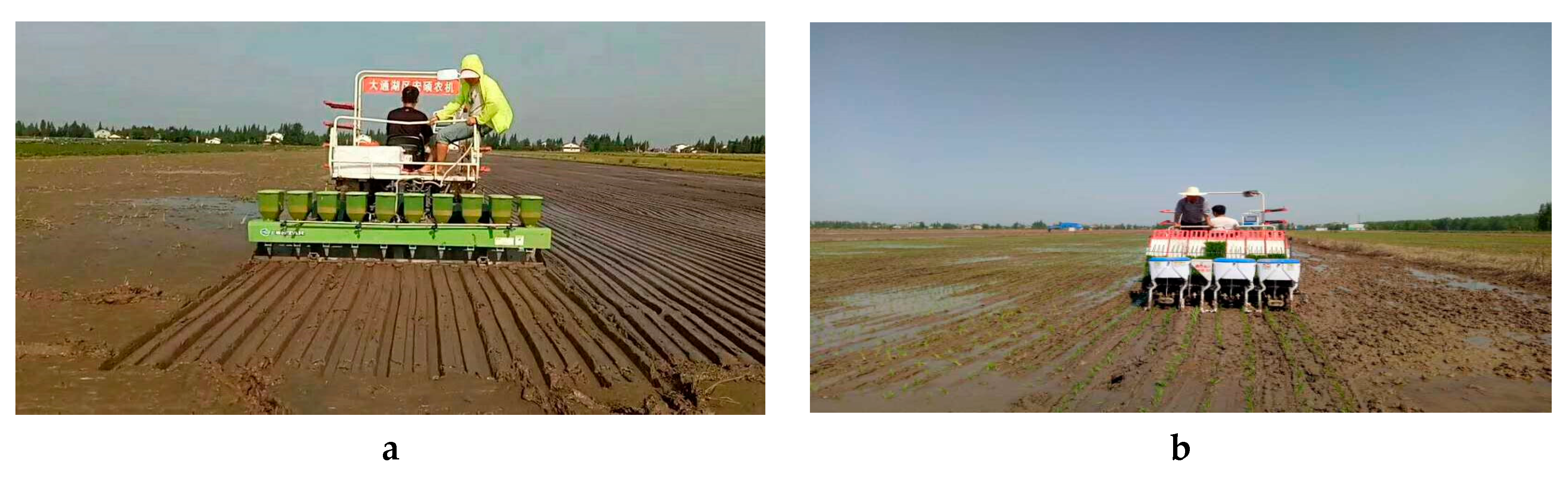 Sustainability 11 06499 g003 Sustainability 11 06499 g003