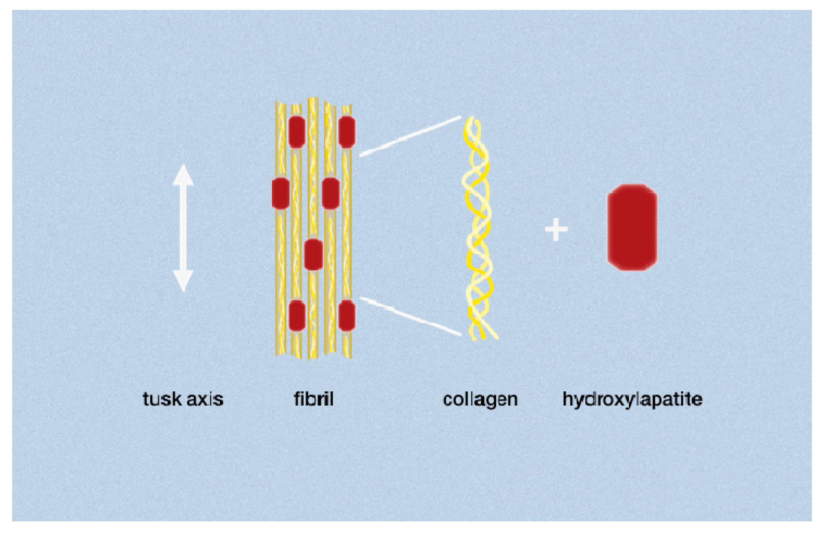 Sustainability 11 06538 g001