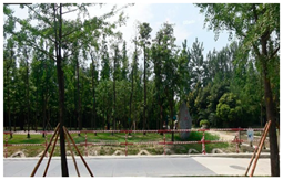 Sustainability 11 06541 i015