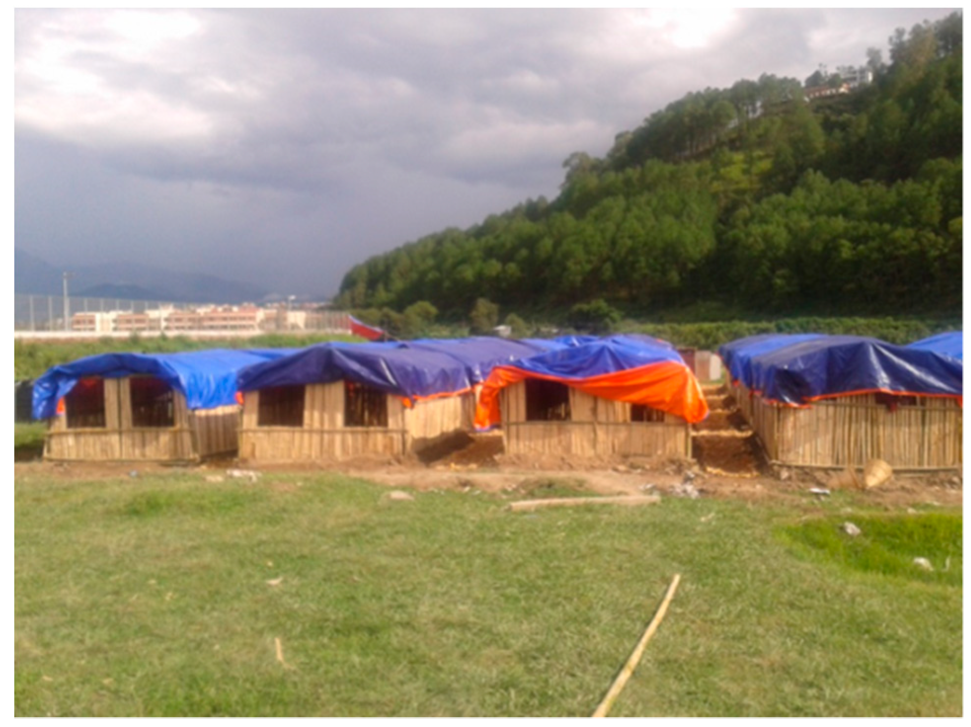 Sustainability 11 06660 g004 550