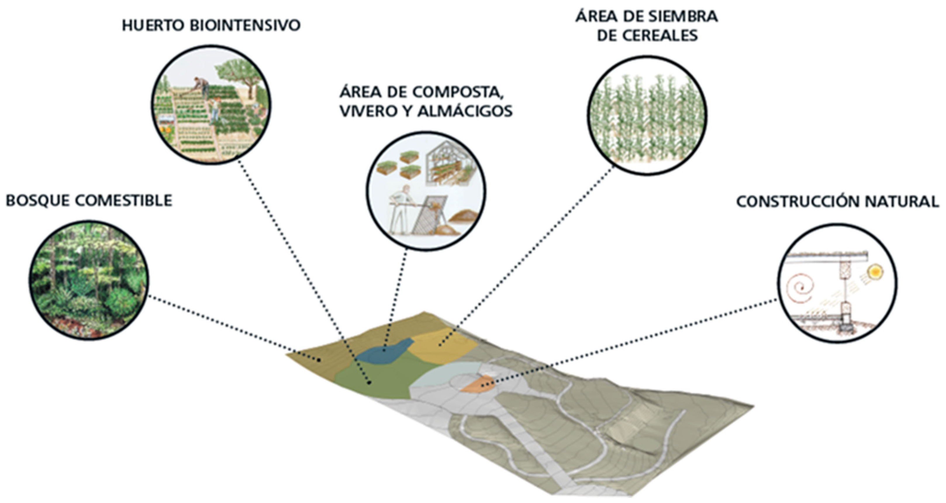 Sustainability 11 06674 g005