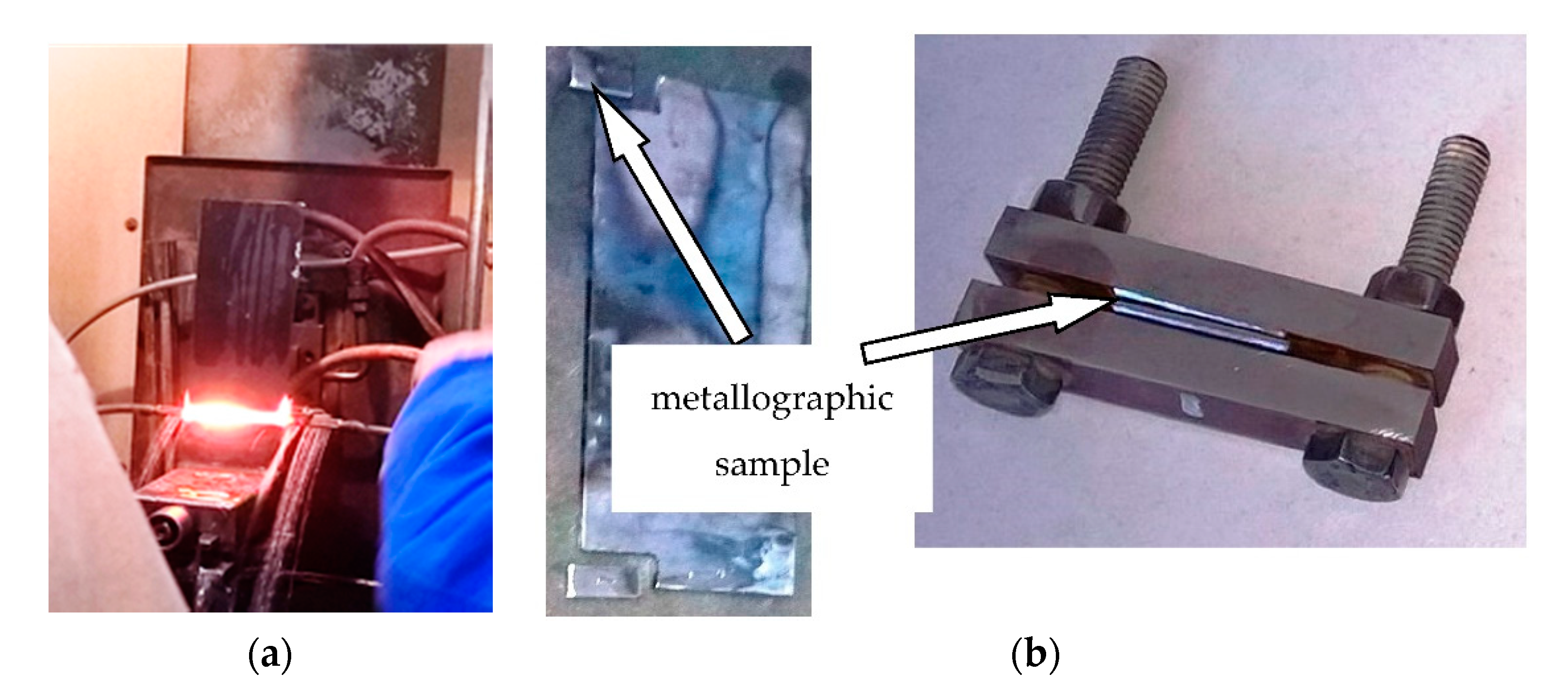 Sustainability 11 06686 g005 550
