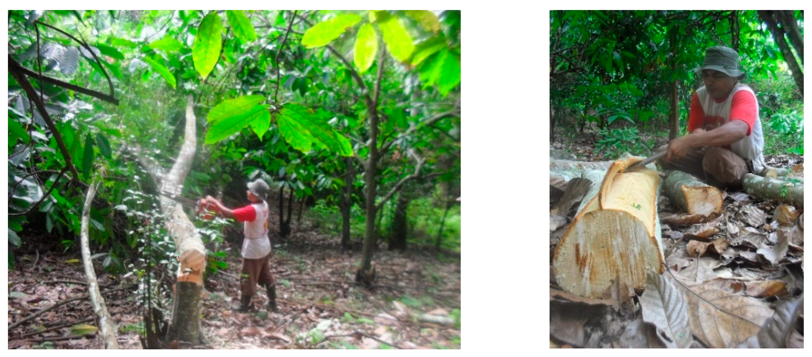 Sustainability 11 06709 g004 550