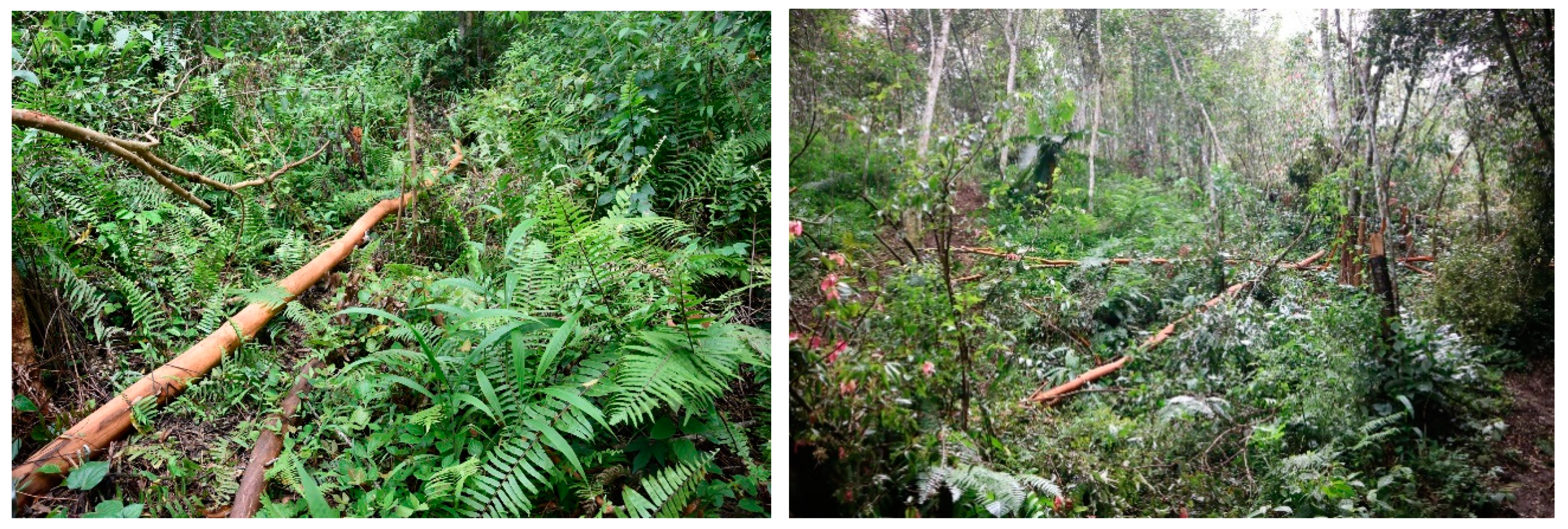 Sustainability 11 06709 g005 550