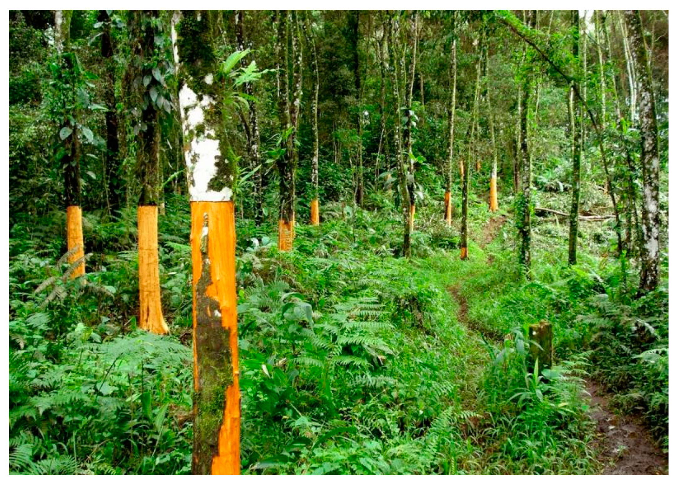 Sustainability 11 06709 g011 550