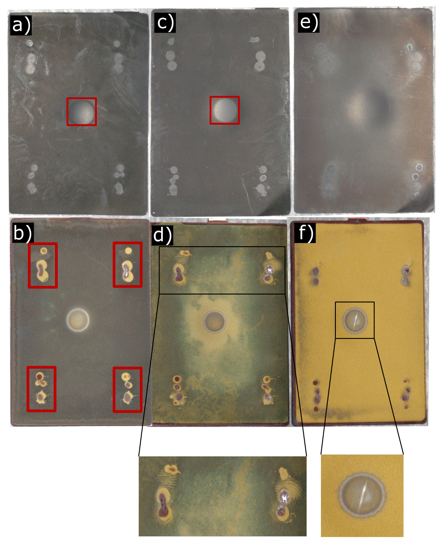 Sustainability 11 06738 g004