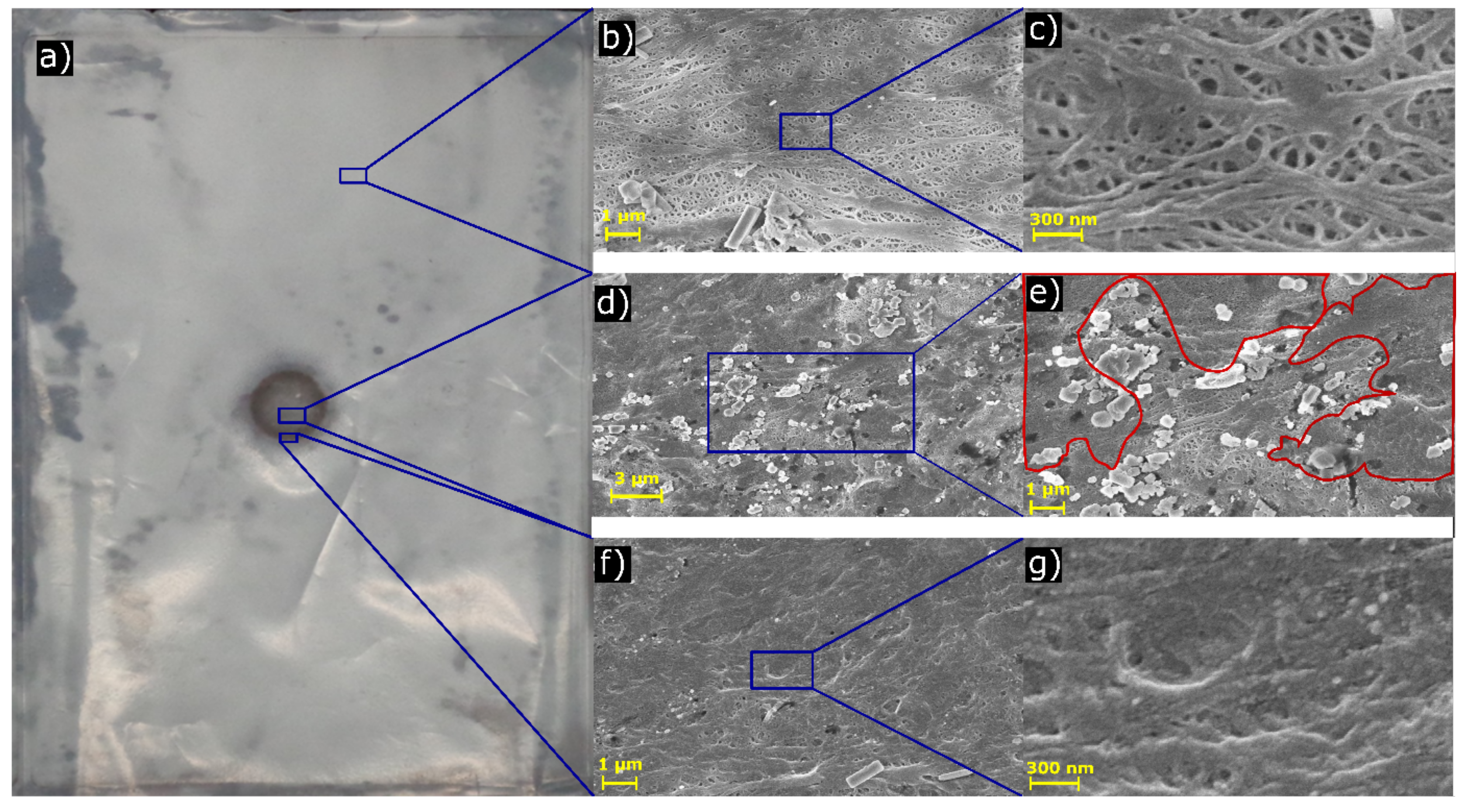 Sustainability 11 06738 g006