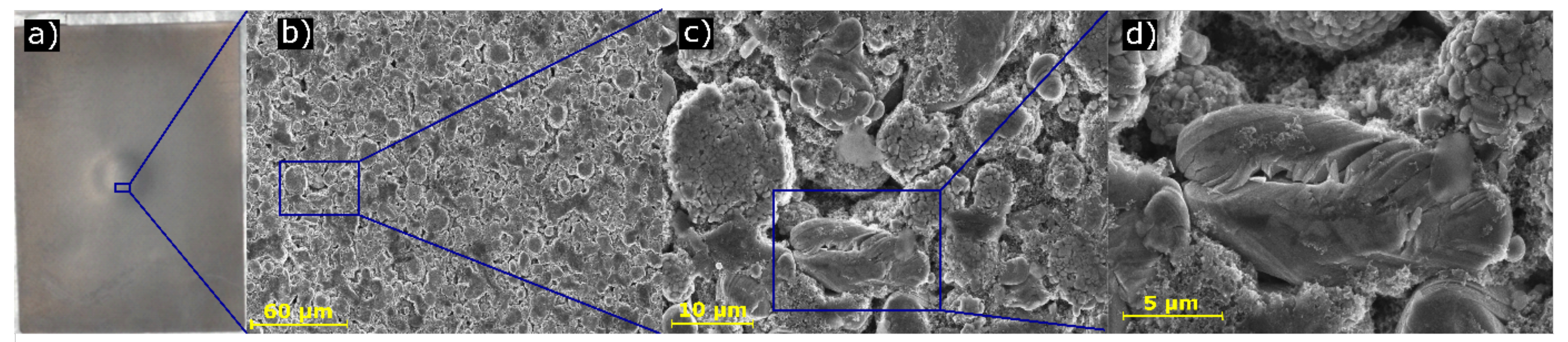 Sustainability 11 06738 g007