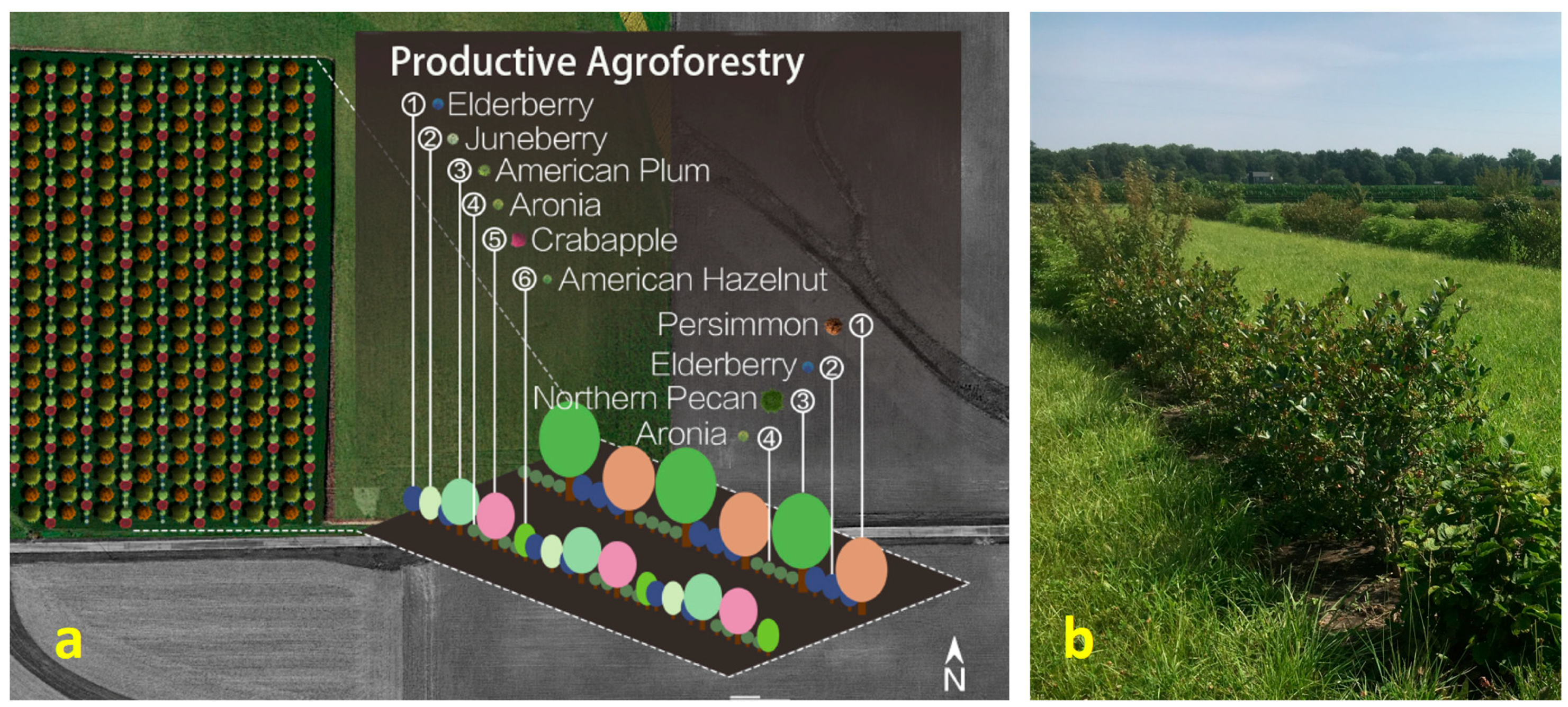 Sustainability 11 06751 g001