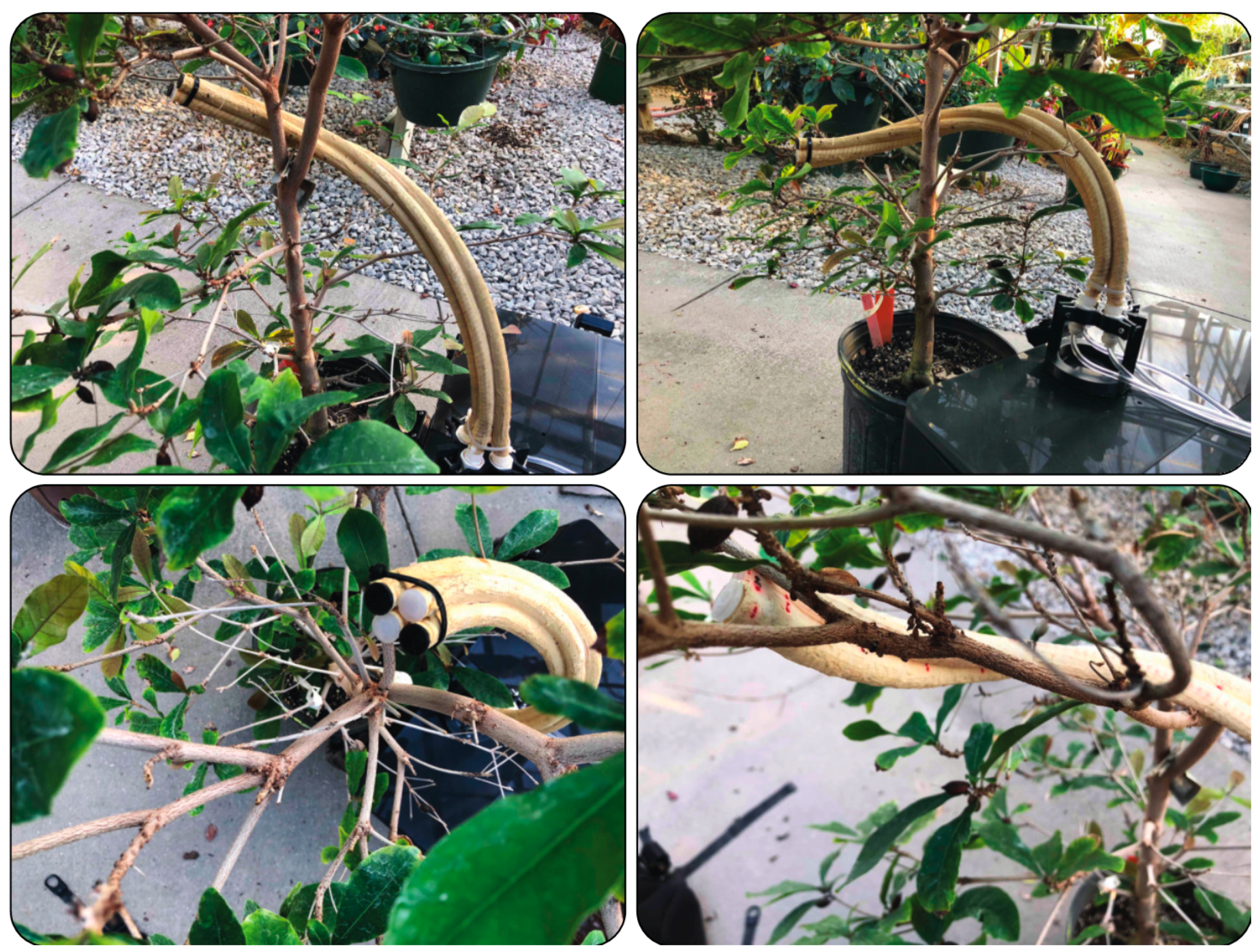 Sustainability 11 06751 g002