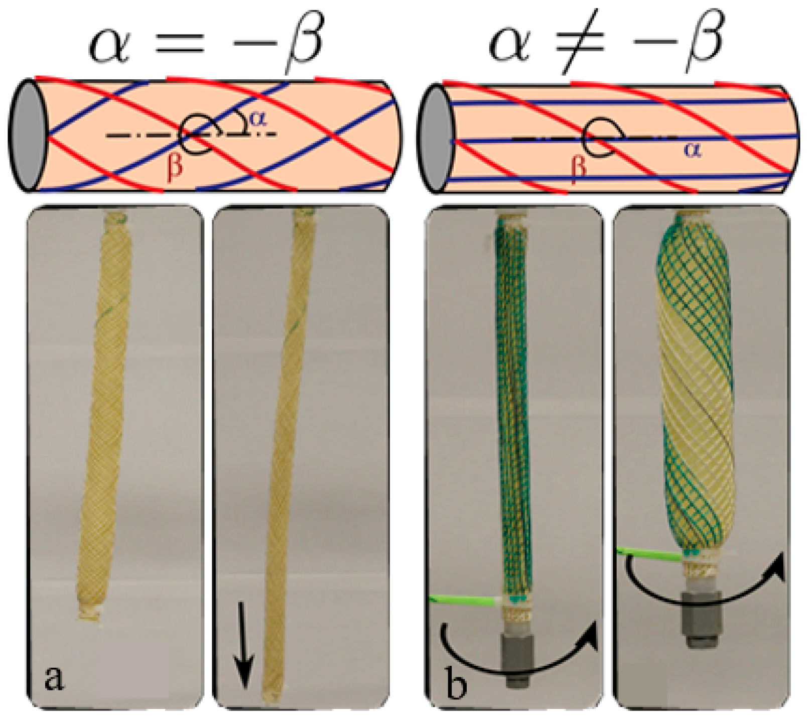 Sustainability 11 06751 g003