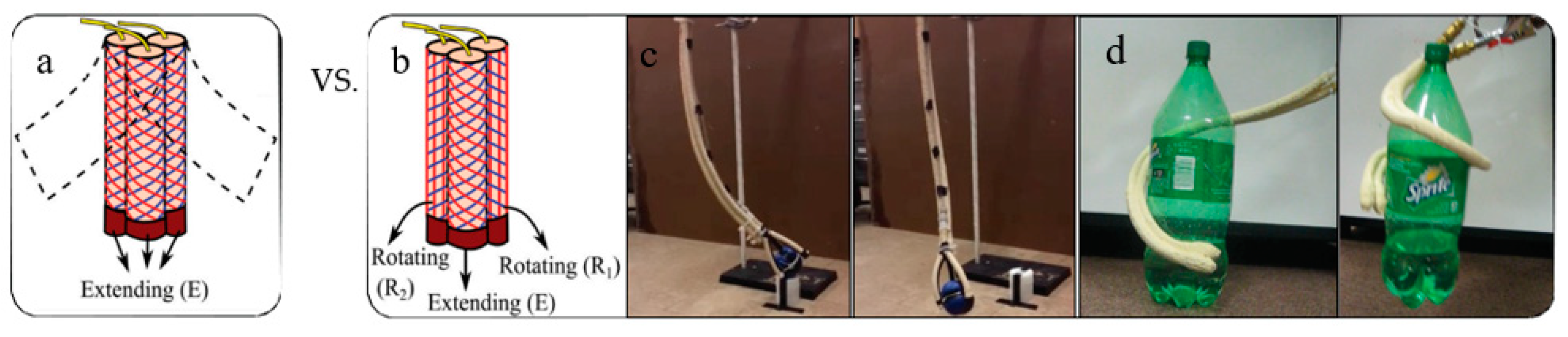 Sustainability 11 06751 g004