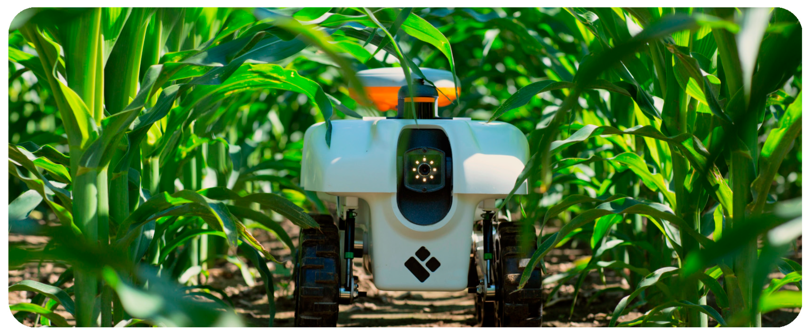 Sustainability 11 06751 g007