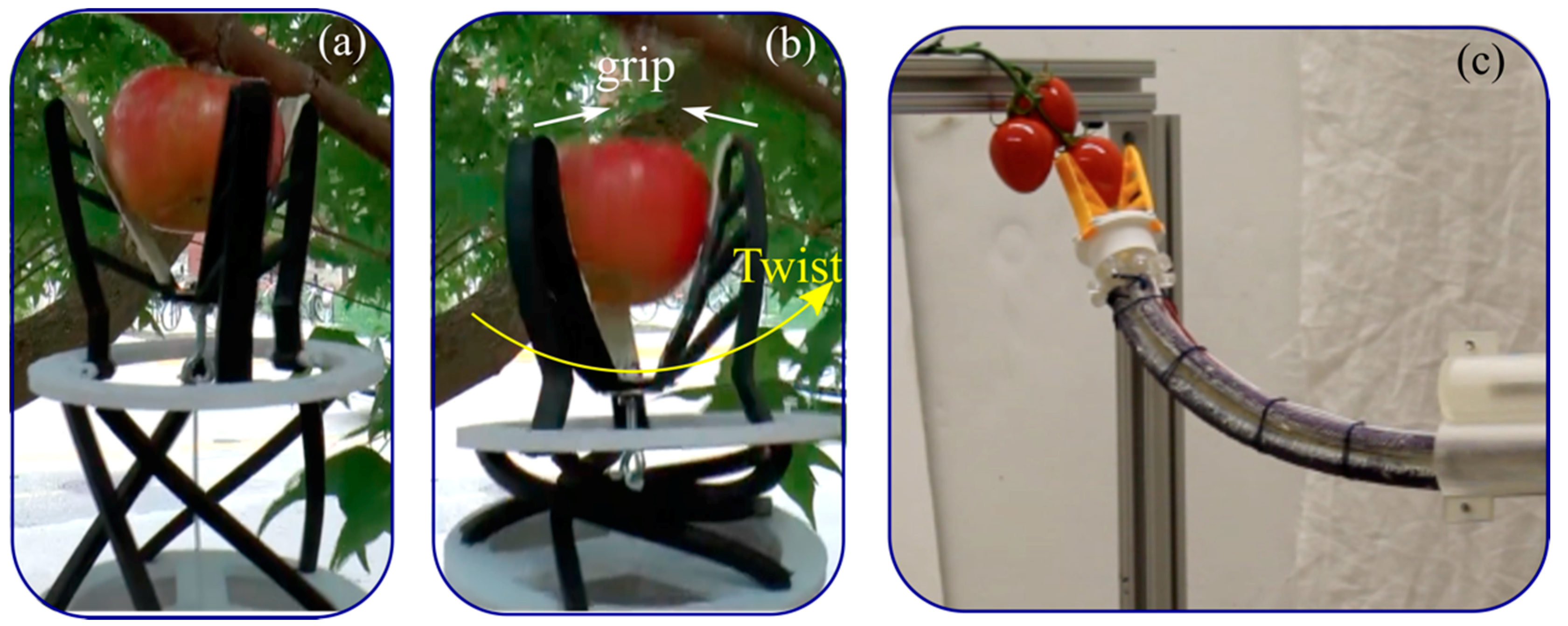 Sustainability 11 06751 g009