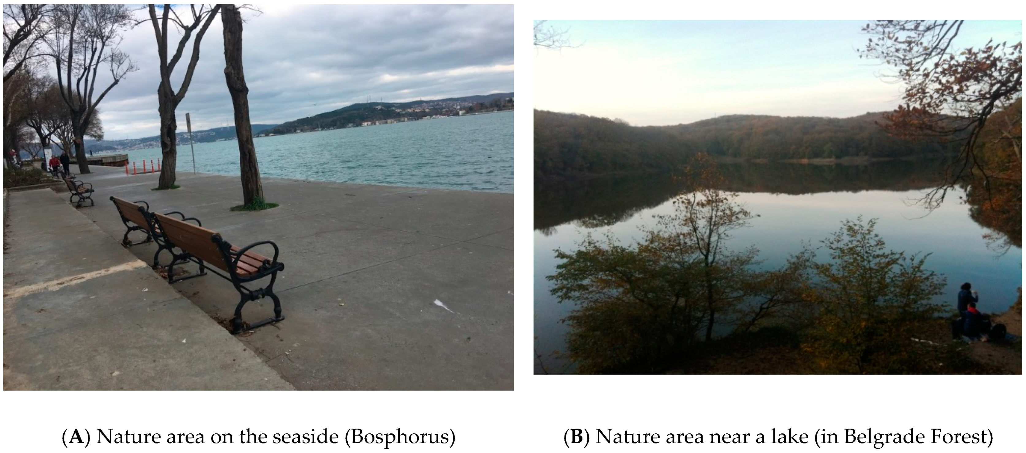 Sustainability 11 06773 g002a Sustainability 11 06773 g002a