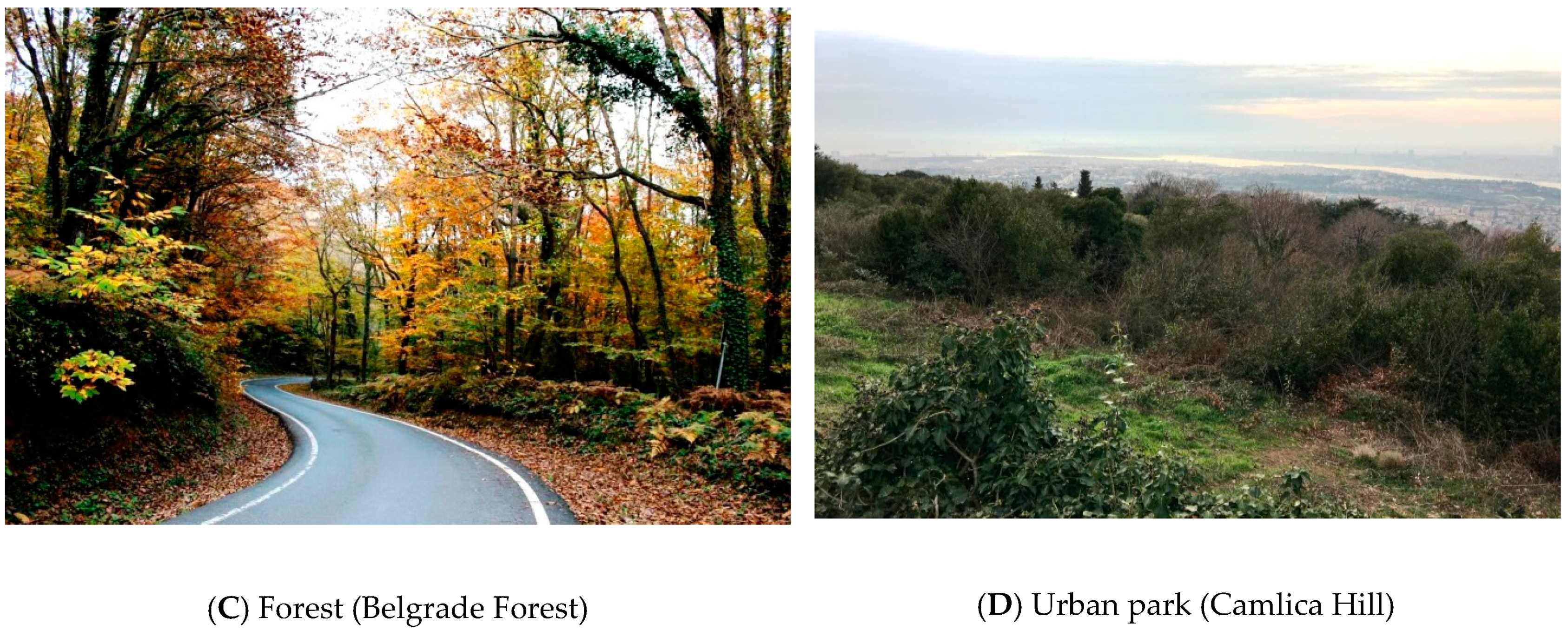 Sustainability 11 06773 g002b Sustainability 11 06773 g002b