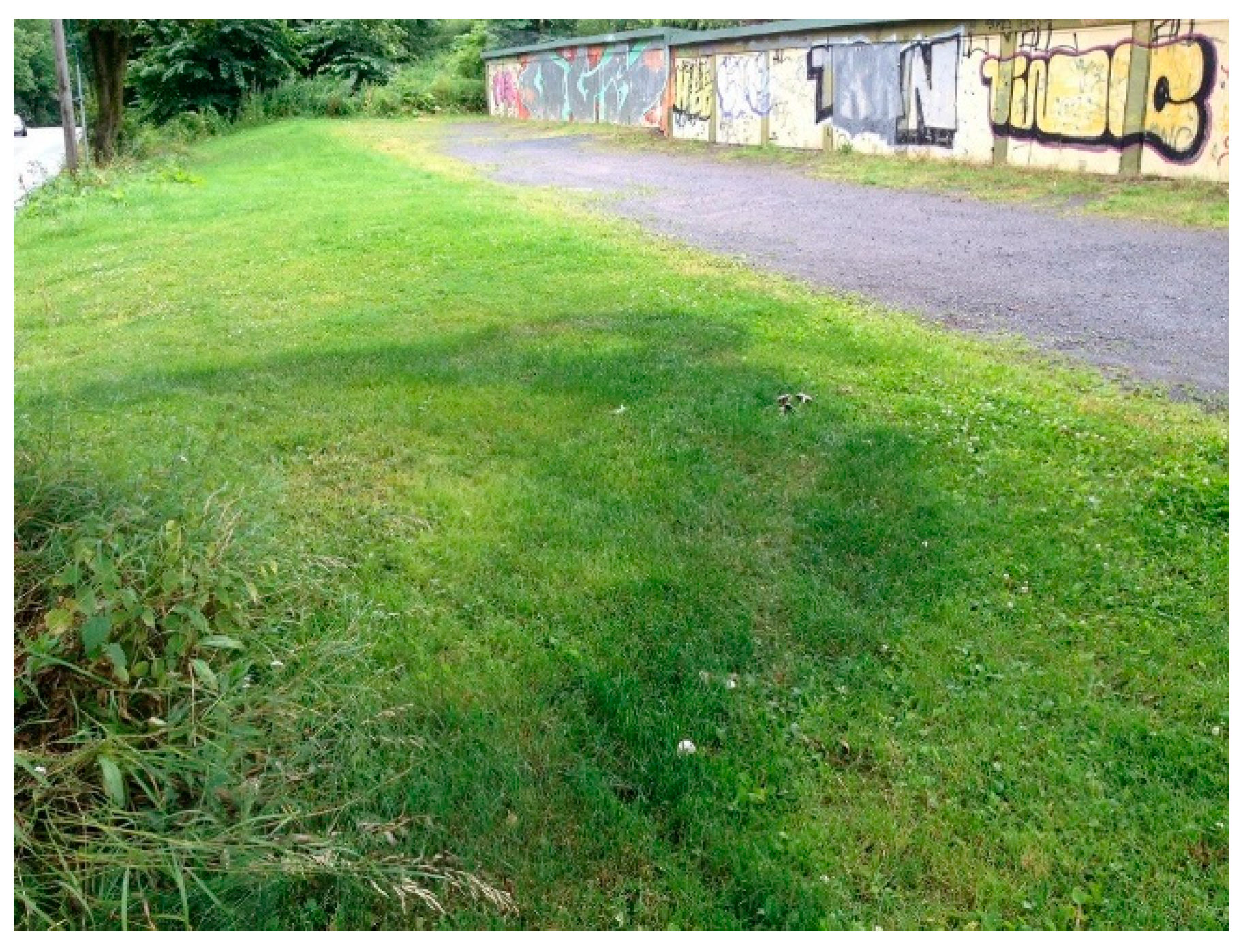 Sustainability 11 06779 g008 Sustainability 11 06779 g008