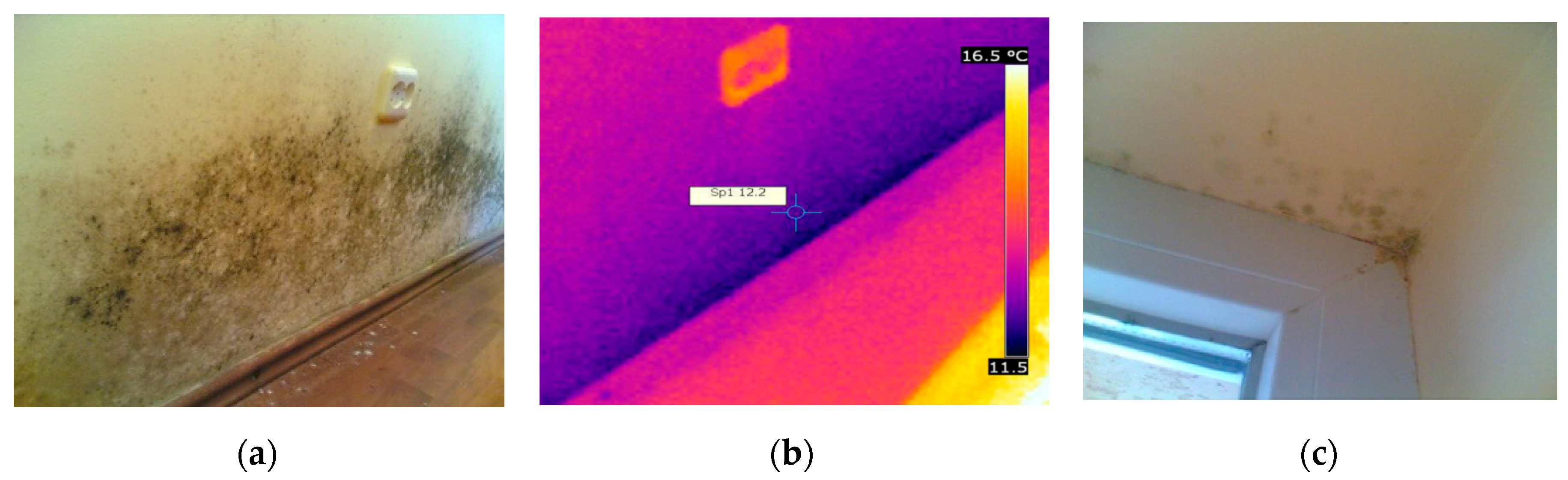 Sustainability 11 06824 g007