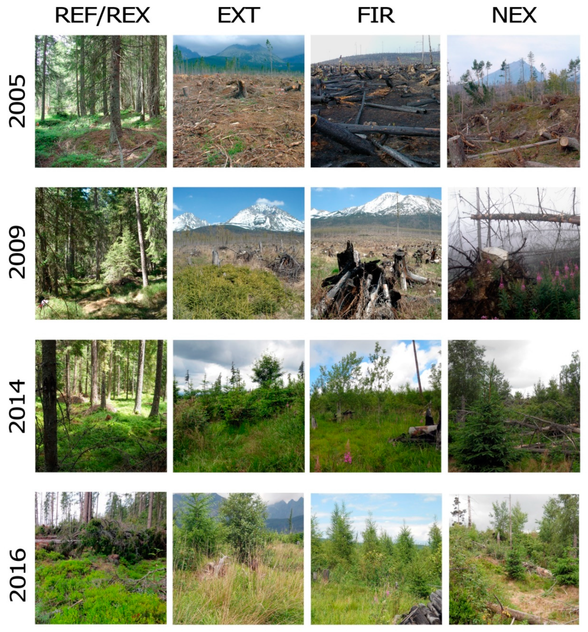 Sustainability 11 06851 g002