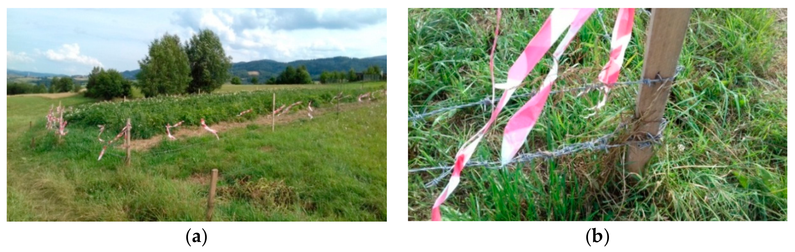 Sustainability 11 06857 g003 550