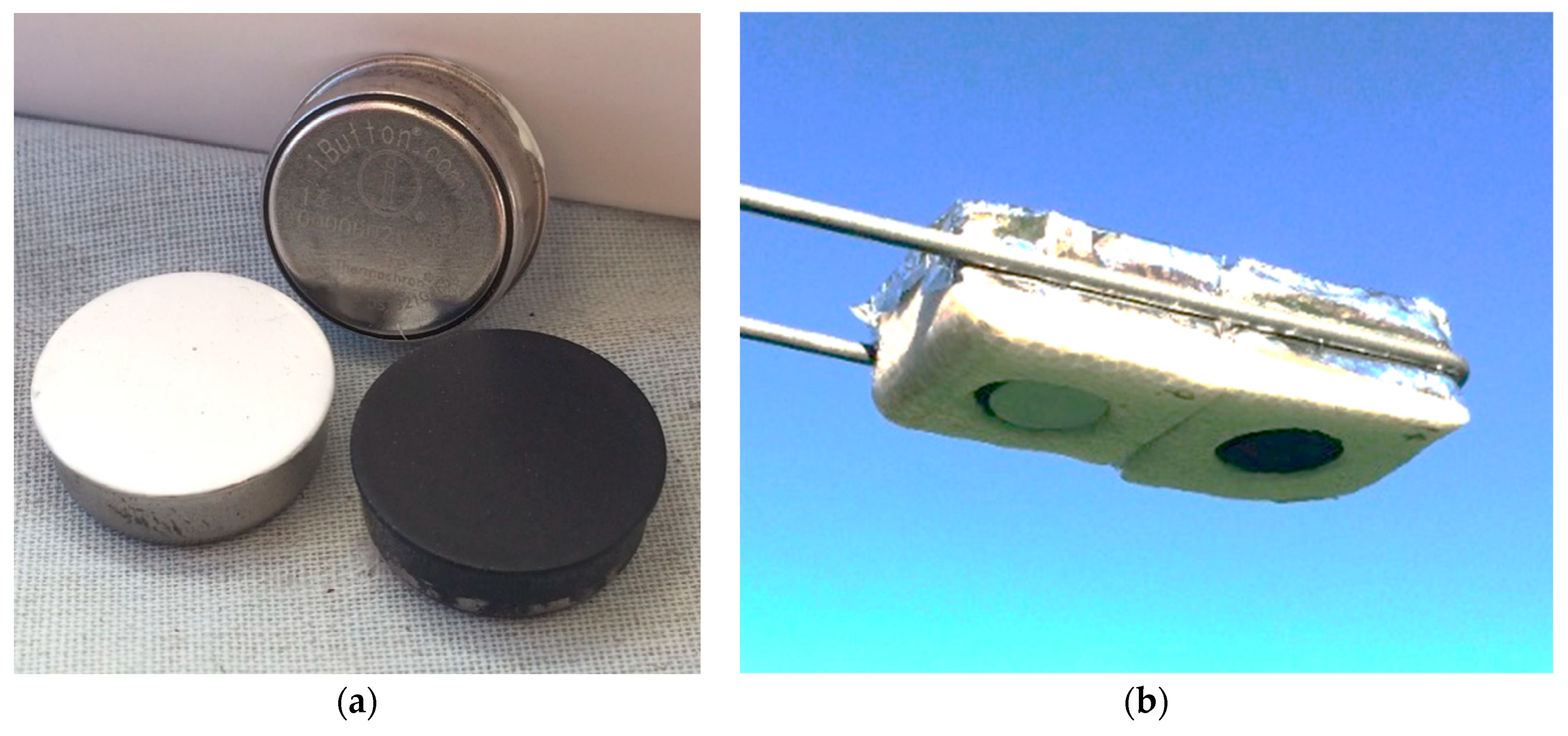 Sustainability 11 06896 g001