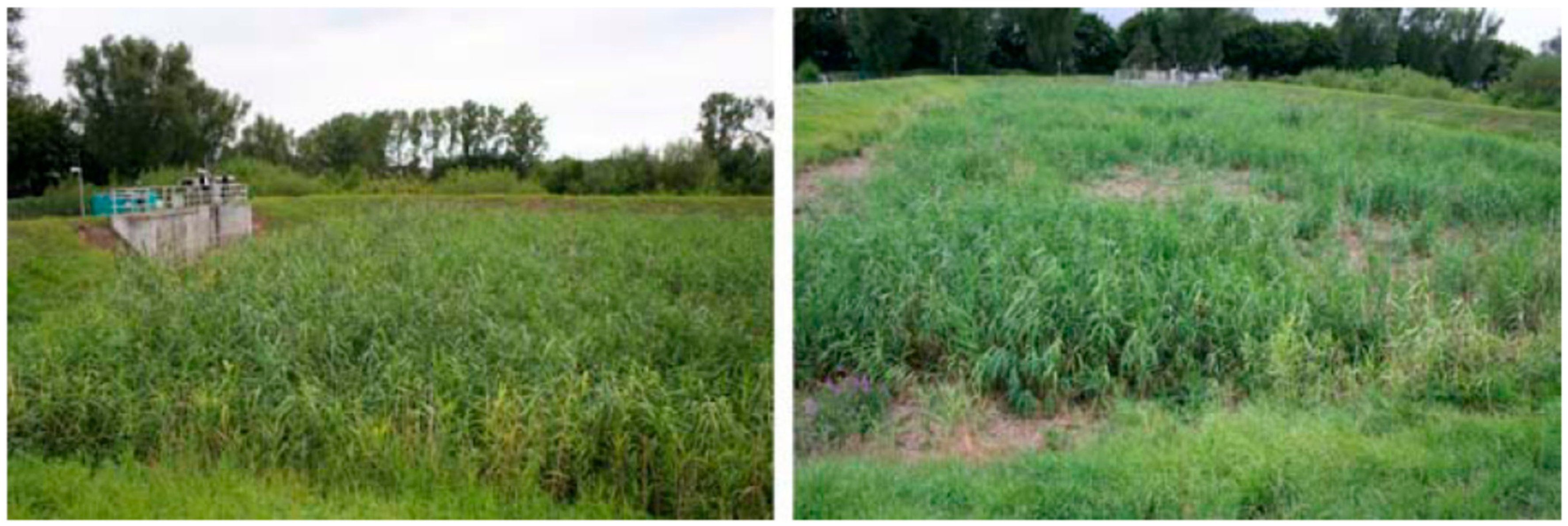 Sustainability 11 06981 g007 Sustainability 11 06981 g007