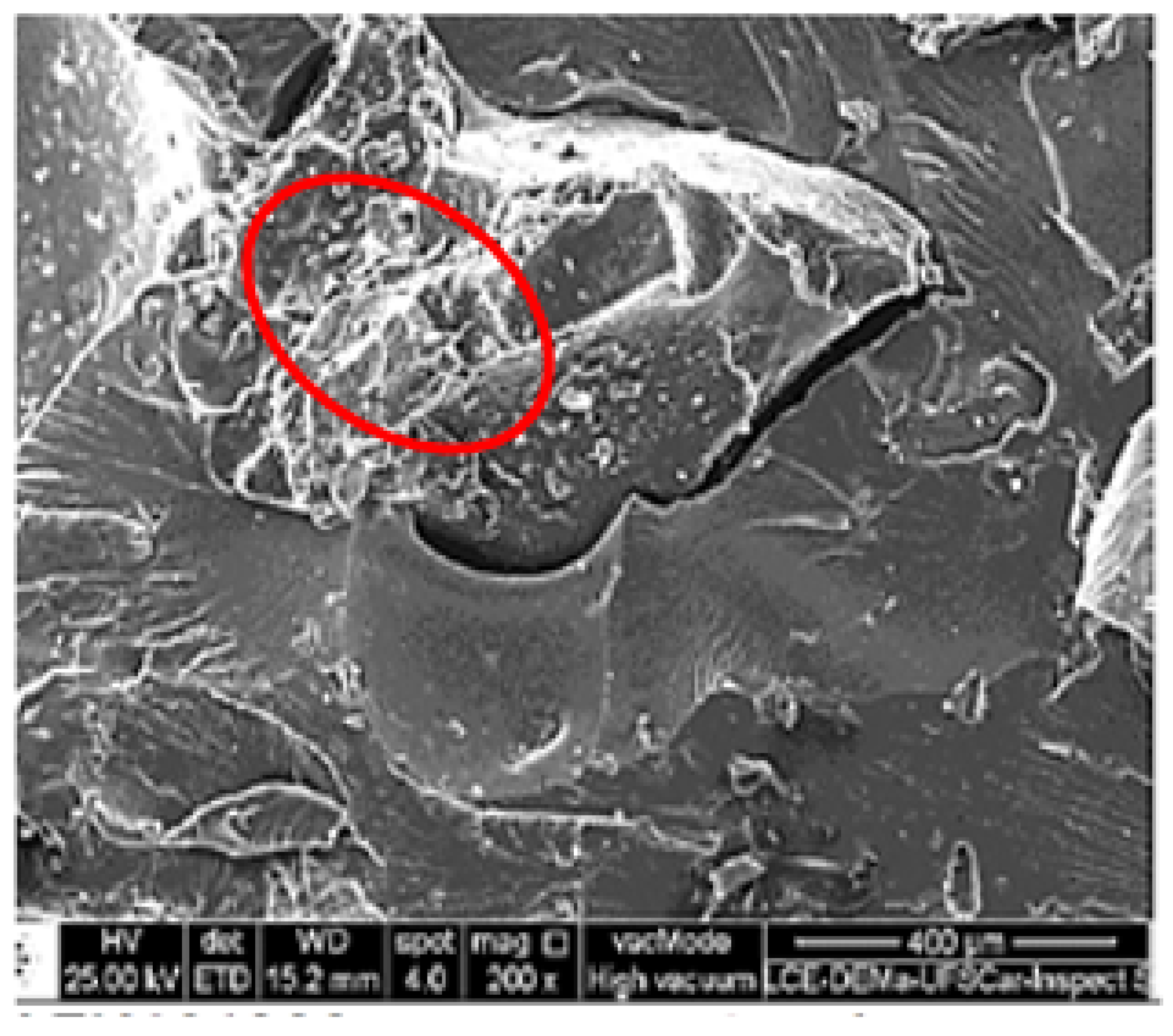 Sustainability 11 06997 g002 Sustainability 11 06997 g002