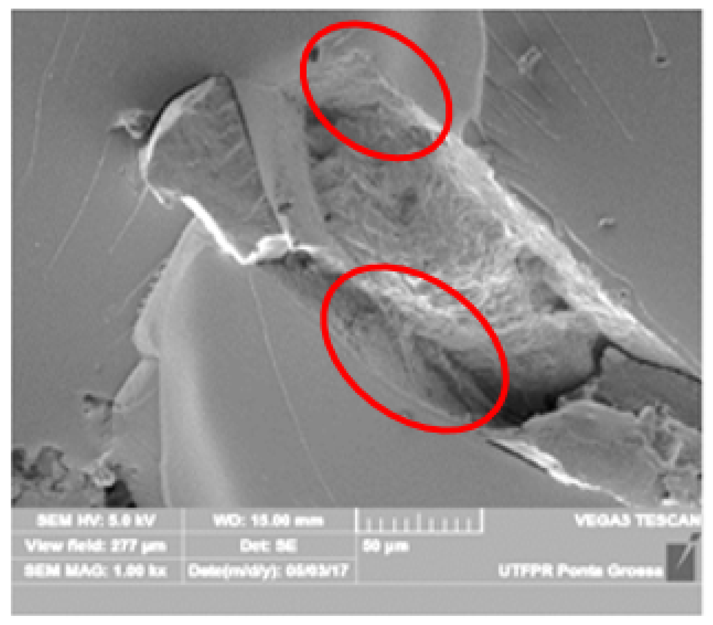 Sustainability 11 06997 g003 Sustainability 11 06997 g003