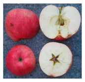 Sustainability 11 07000 i001