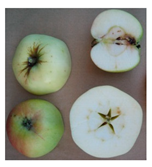 Sustainability 11 07000 i002