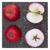 Sustainability 11 07000 i003