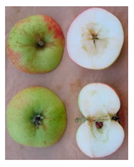 Sustainability 11 07000 i004