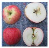 Sustainability 11 07000 i006