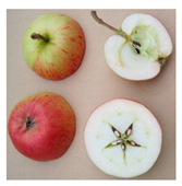 Sustainability 11 07000 i011