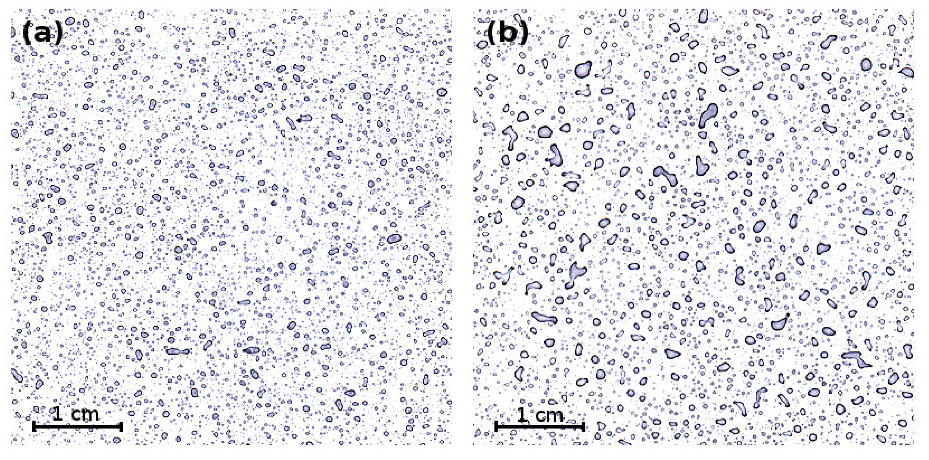 Sustainability 11 07037 g001