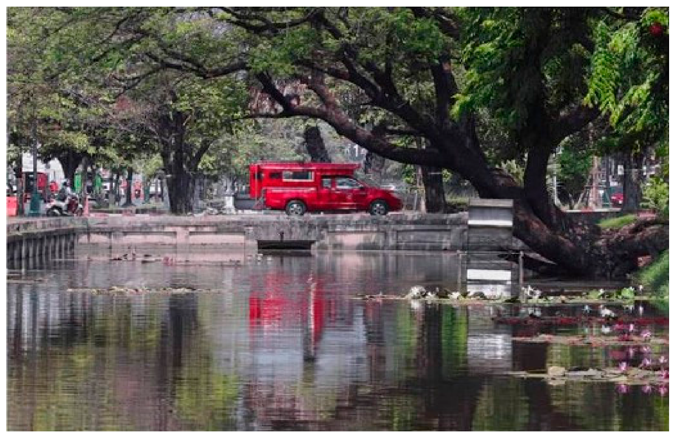 Sustainability 11 07152 g006